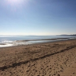 Beautiful Day at Coronet Bay2
